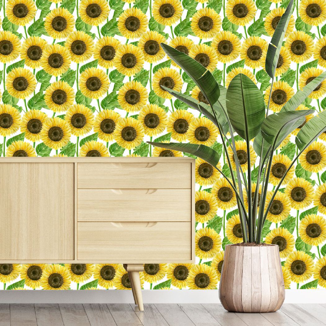Sunflower Feilds Wallpaper