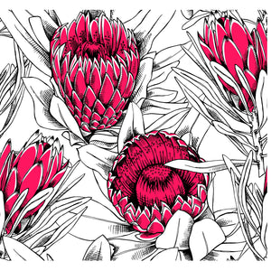 Poppin Pink Protea Wallpaper
