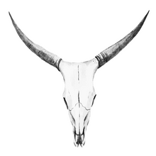 Load image into Gallery viewer, Bovine Beast Skull Wall Decal

