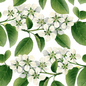 Blooming Tree Wallpaper