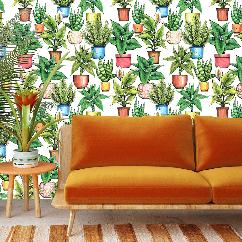 Cool Cactus Wallpaper