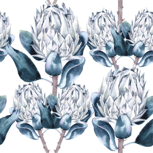 Frost Protea Wallpaper