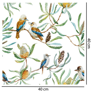 kookaburra Bush Wallpaper