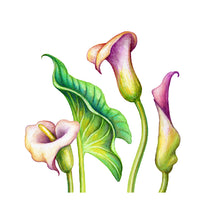 Load image into Gallery viewer, Lovely Lily Wall Decal Set
