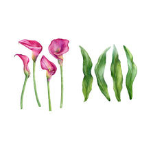 Load image into Gallery viewer, Sweet Lily Wall Decal Set
