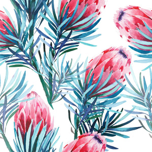 Pink Protea Wallpaper