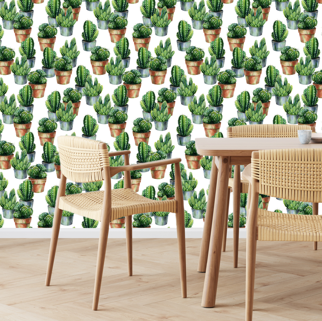 Cactus Pots Wallpaper