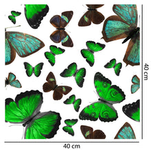 Load image into Gallery viewer, Emerald City Butterfly Wallpaper
