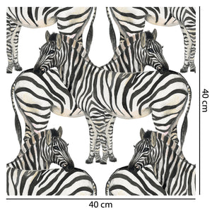 Zany Zebra Wallpaper