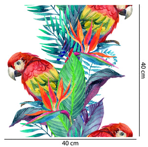 Tropical Parrot Conga Wallpaper