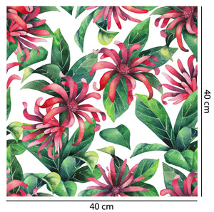Star Anise Flower Wallpaper