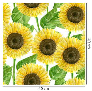 Sunflower Feilds Wallpaper