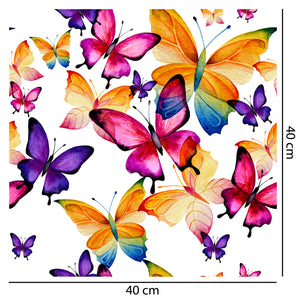 Rainbow Bright Butterfly Wallpaper