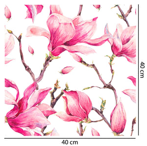 Spring Magnolia Wallpaper