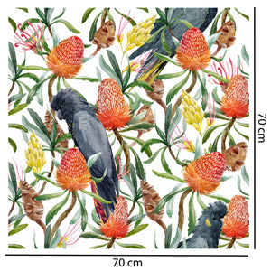 Australian Black Cockatoo Wallpaper