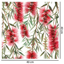 Load image into Gallery viewer, Red Bottlebrush Wallpaper
