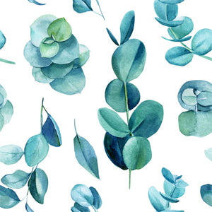 Pure Eucalyptus Leaves Wallpaper