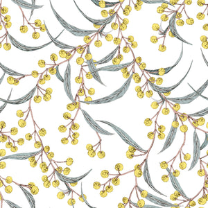 Golden Wattle Wallpaper