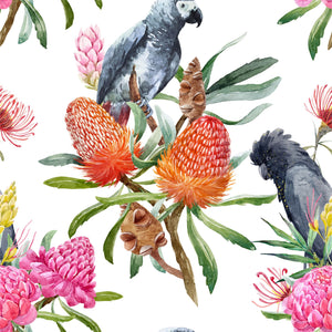 Australian Birdlife Wallpaper