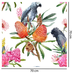 Australian Birdlife Wallpaper