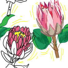 Load image into Gallery viewer, Bright Protea Flower Wallpaper
