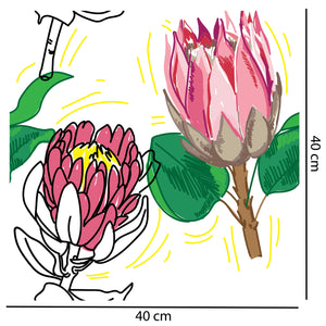 Bright Protea Flower Wallpaper