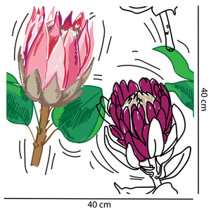 Bold Protea Flower Wallpaper