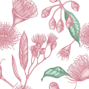 Pink Pastel Australian Floral Wallpaper