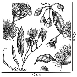 Australian Floral Sketch Wallpaper